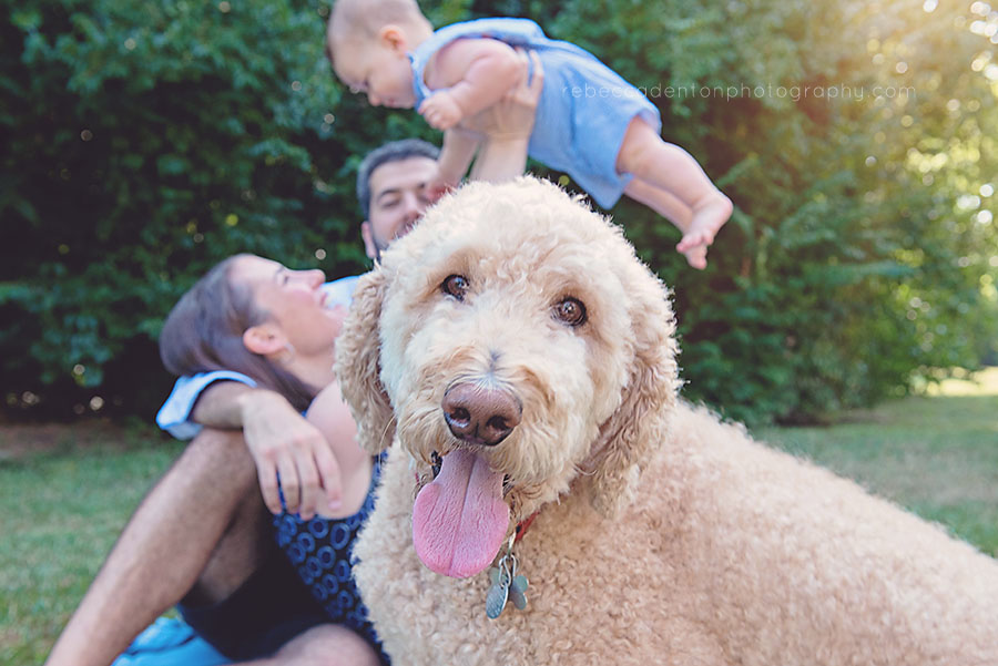 Dog with tongue hanging out and family in background