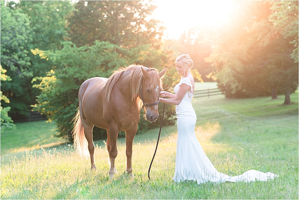 Bridal portrait with horse in field