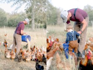 Free Range Eggs Cedar Rock Farm Farm story branding photos
