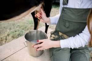 Goat Milk Soap Cedar Rock Farm