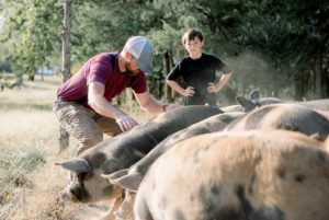 Forest Raised Pork Cedar Rock Farm Family Farm Branding